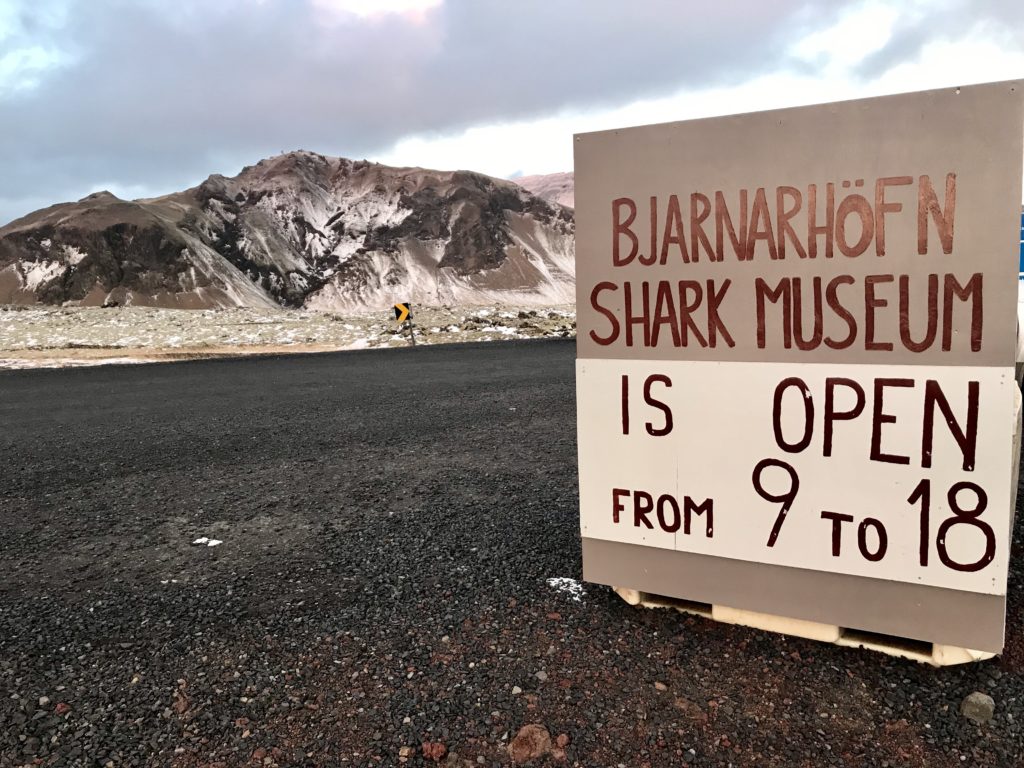Cost of Iceland Trip - Bjarnarhofn shark museum sign, sightseeing