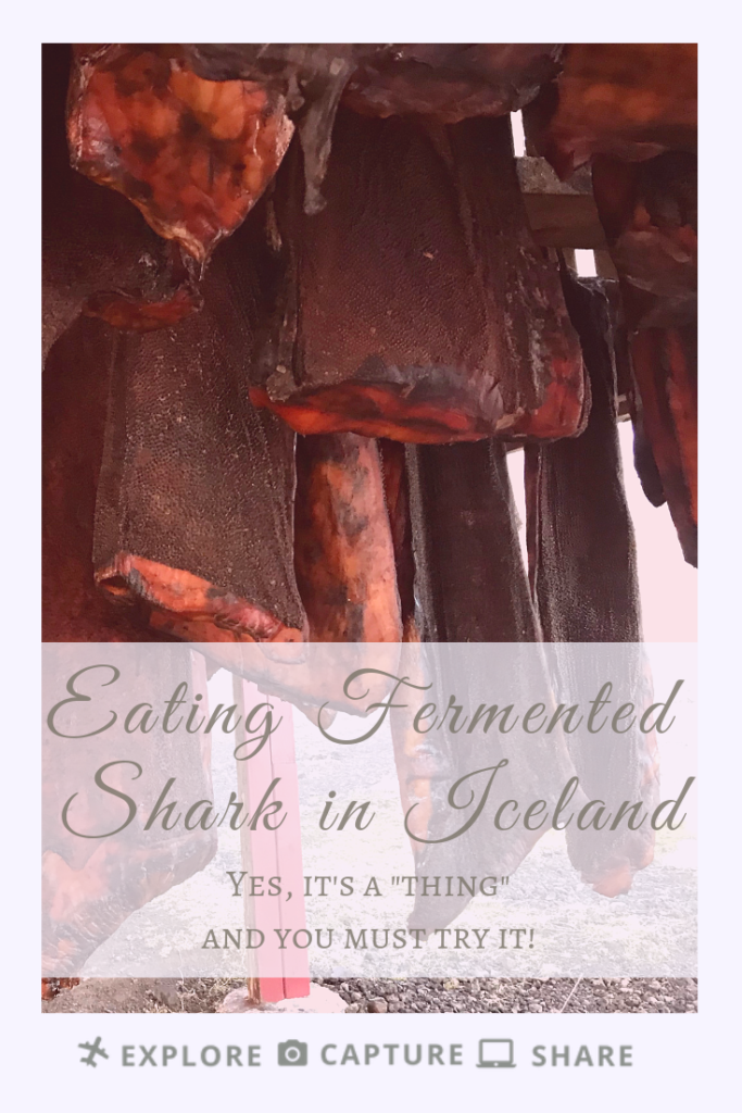 Eating Fermented Shark In Iceland
Yes, it's a "thing" and you must try it!
#explorecaptureshare
#fermentedshark
#icelandtravel
#icelandbucketlist