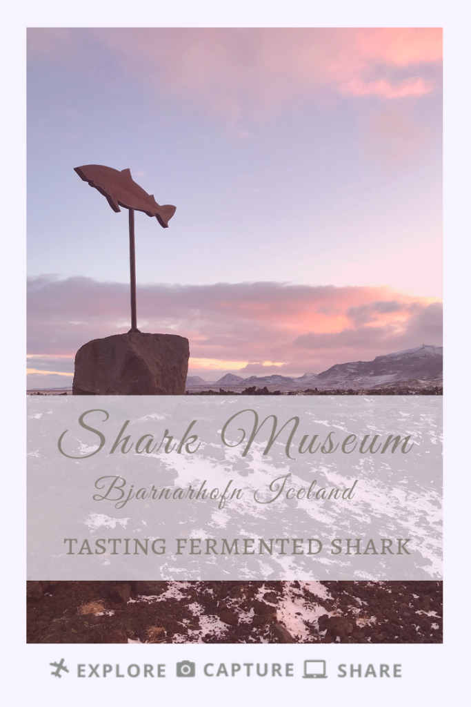 Shark Museum, Bjarnarhofn Iceland
Tasting Fermented Shark
Explore Capture Share
#explorecaptureshare