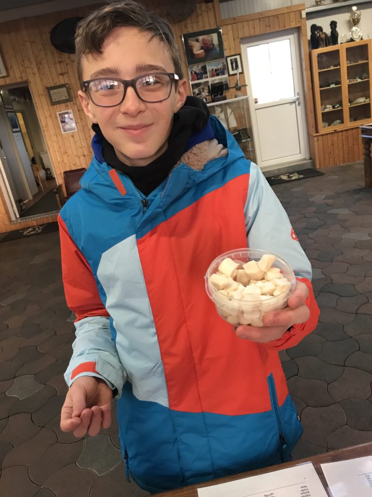 Trying fermented shark in Iceland at shark museum