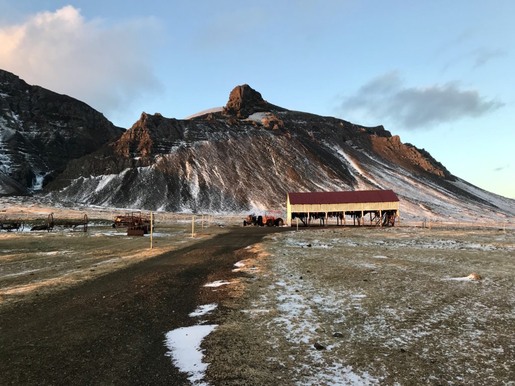 Bjarnarhöfn shark museum and fermented shark